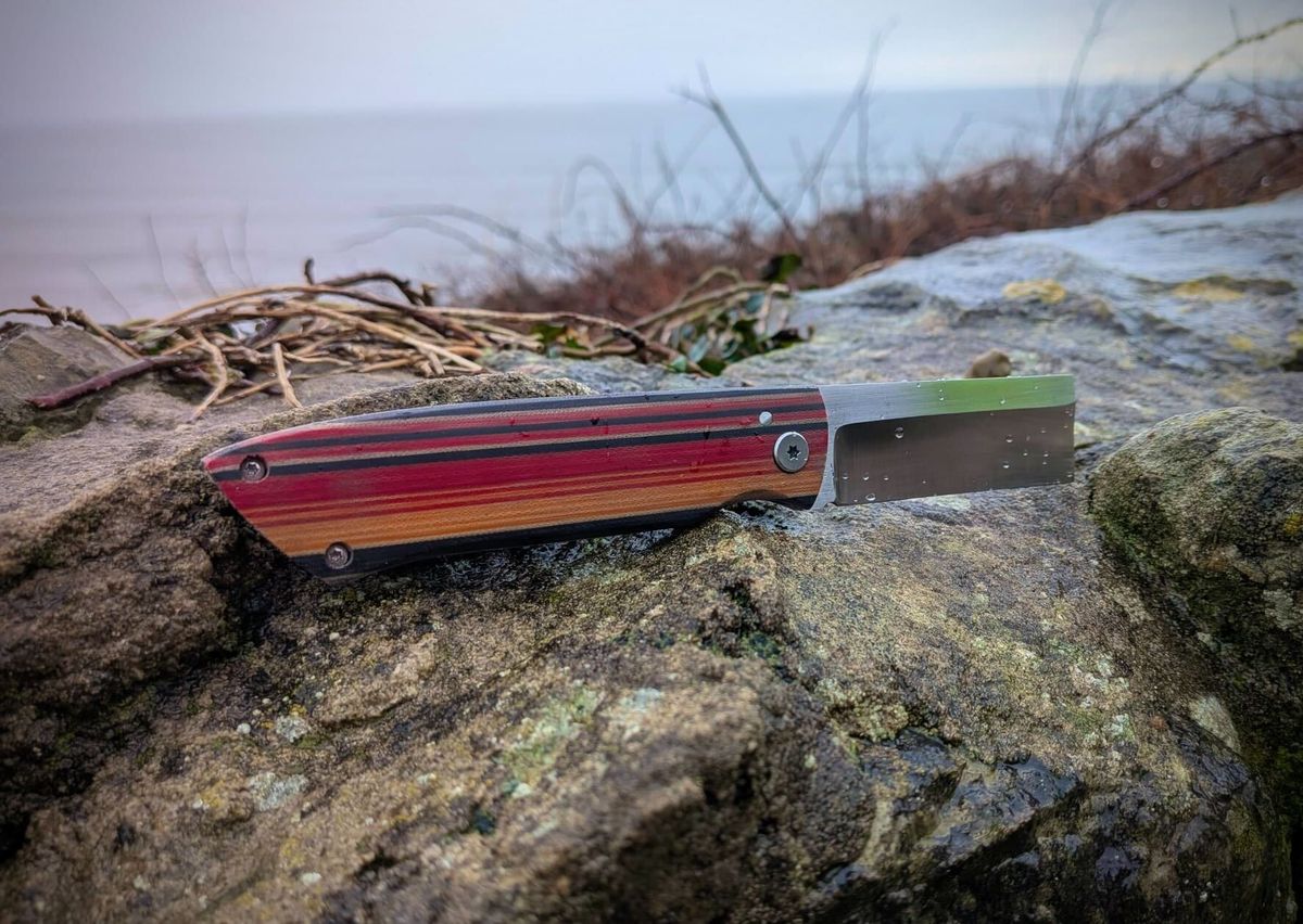 Bonsmara friction folder by the sea