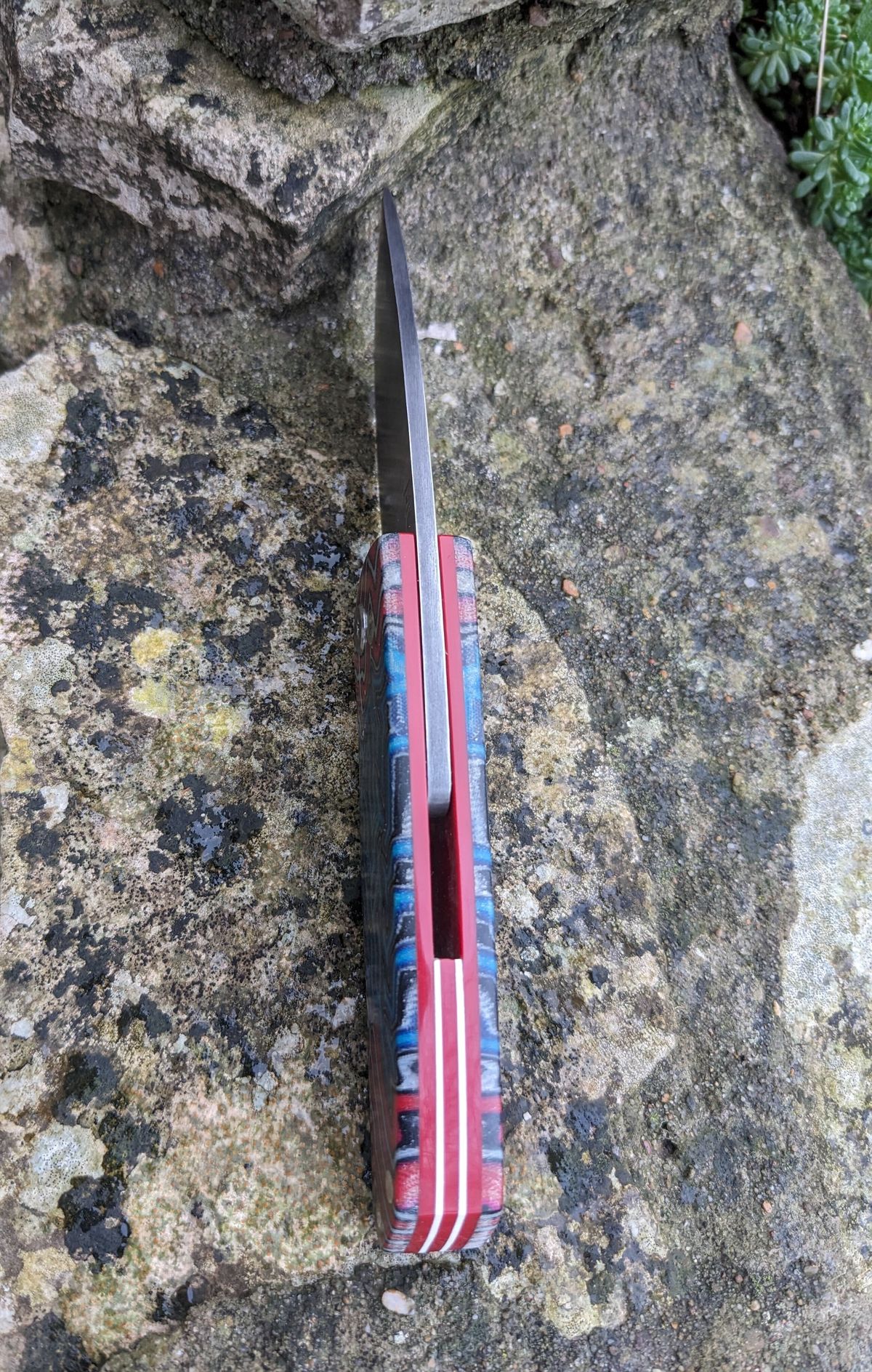 Sunfish friction folder in damacarta spine